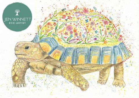 TERRY THE TORTOISE - SIGNED PRINT