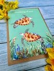 THINKING OF YOU TURTLE ECO CARD