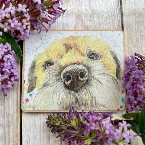 TILLY THE BORDER TERRIER ECO FRIDGE MAGNET