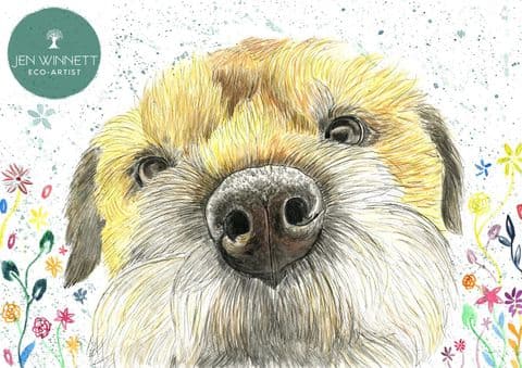 TILLY THE BORDER TERRIER - SIGNED PRINT