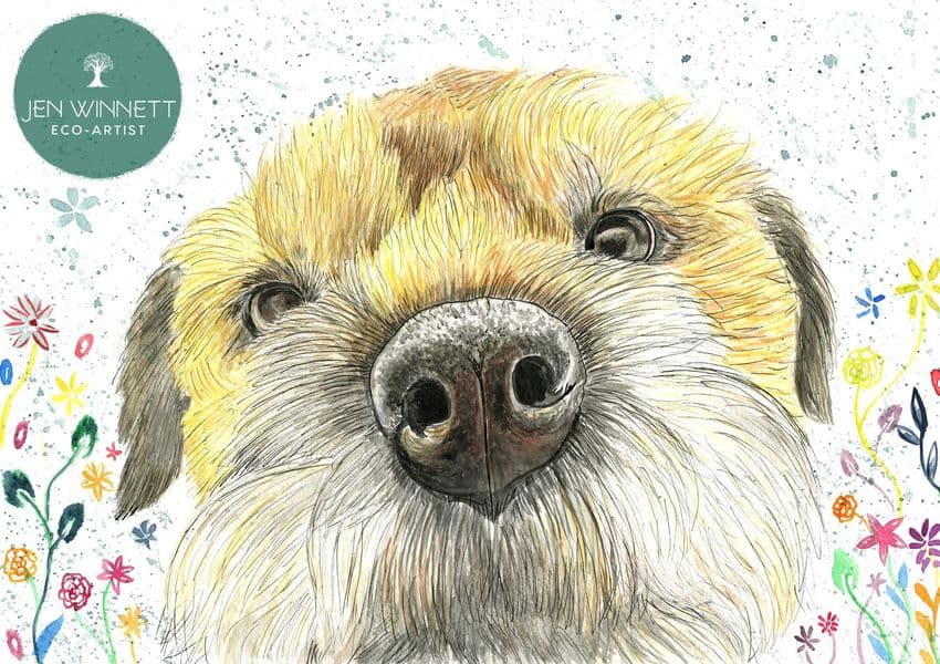 TILLY THE BORDER TERRIER  - SIGNED PRINT