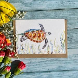 TRANQUILITY THE TURTLE ECO-CARD