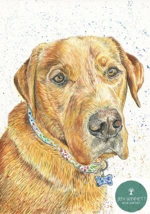 WELLIE THE LABRADOR - SIGNED PRINT