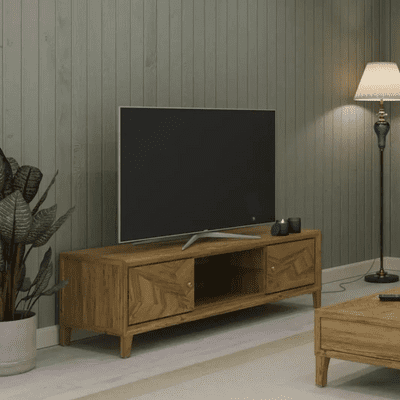 Lille Parquet Contemporary TV Cabinet with 2 Doors