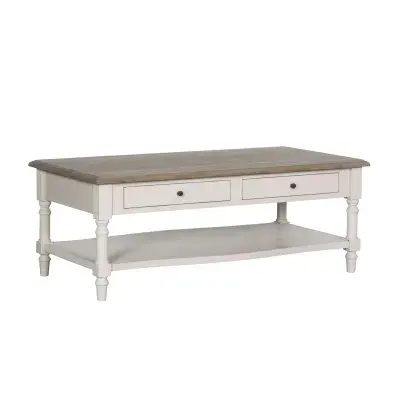 Lyon Contemporary Light Grey 2 Drawer Coffee Table