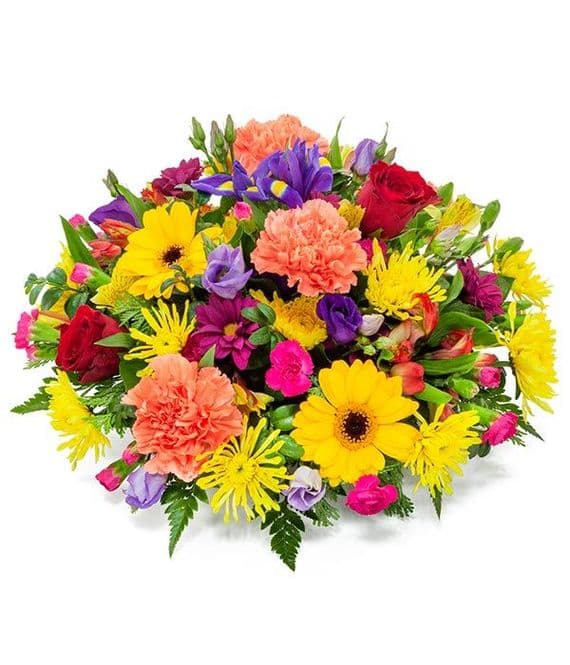 Bright & Vibrant Posy