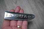 JAGUAR X TYPE  FRONT WING TRIM FINNISHER   RIGHT SIDE