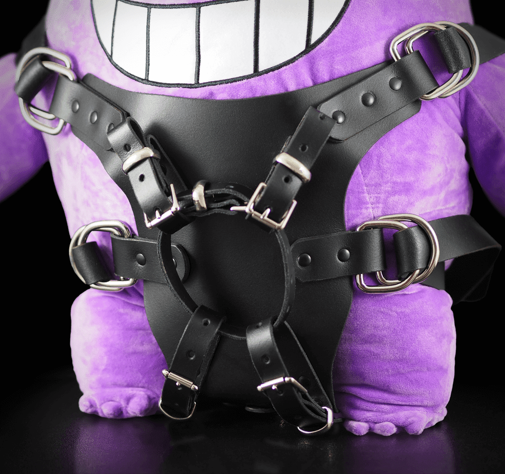 Leather Harness