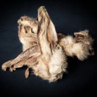 100% Natural Rabbit Ears with Hair - Bear's Kitchen