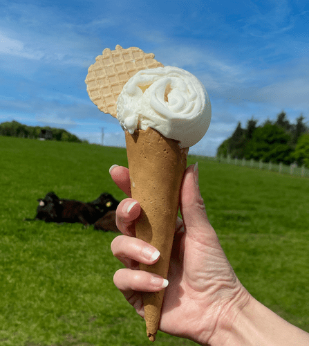 Buffalo Ice Cream 4.5 Litre Napoli (click and collect only)