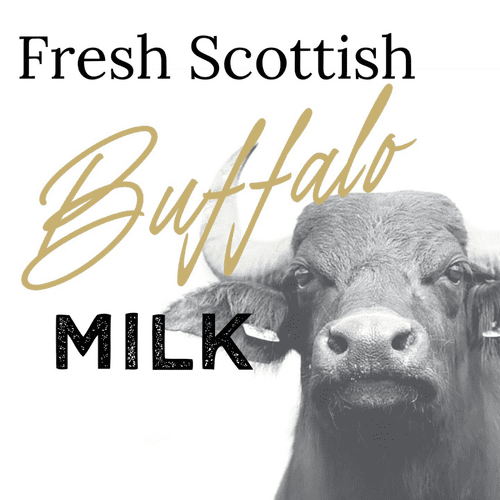 Buffalo Milk - options