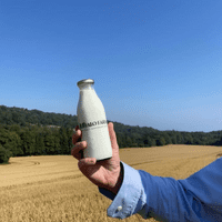 Buffalo Milk  - options (local only)