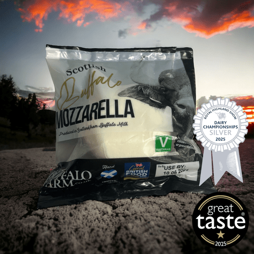 Buffalo Mozzarella Cheese 125g Pouch