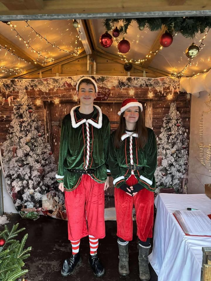 Pumpkin Picking at The Buffalo Farm