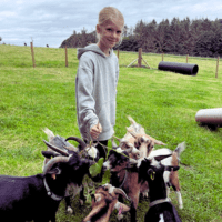 Horns, Hooves and Hugs at The Buffalo Farm