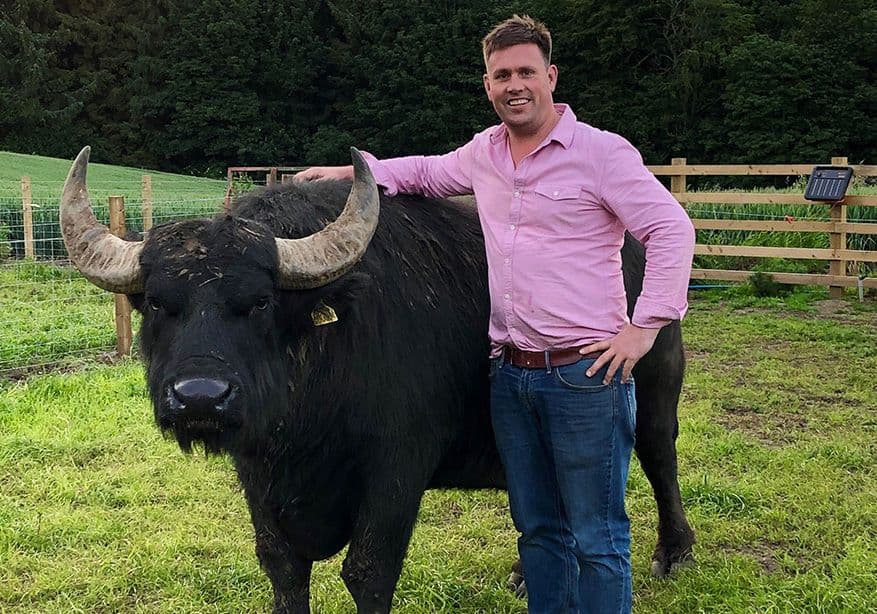 Steve Mitchell, The Buffalo Farm