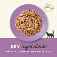 Applaws Natural Wet Adult Cat Food Mackerel with Sardine in Broth - 70g × 24