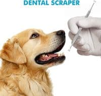 ASM Teeth Cleaning Plaque Removal Teeth Tooth Scraper for Dog Grooming Tools