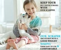 ASM Teeth Cleaning Plaque Removal Teeth Tooth Scraper for Dog Grooming Tools