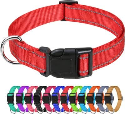 Collar For Dogs Fashion, Flamingo Adjustable 20-30cm