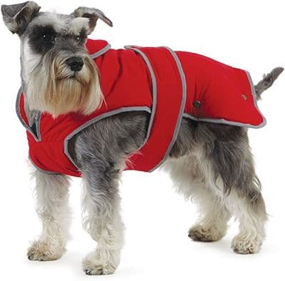 Danish Design Dog Coat Ultimate 2 in 1