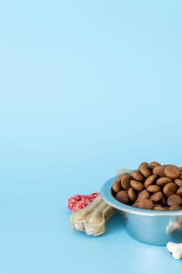 Dog Dry Food