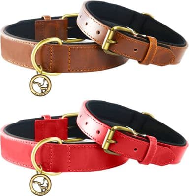 Leather Dog Collar, Adjustable Genuine Soft