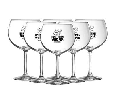 Balloon Gin Glasses (Pack of 6)