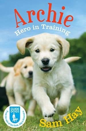 Archie Hero in Training by Sam Hay - 9780330537926