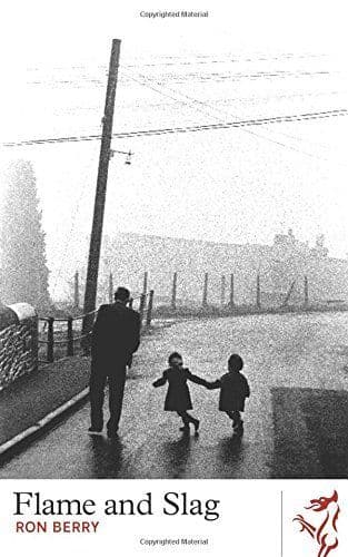 Flame and Slag by Ron Berry - 9781906998486