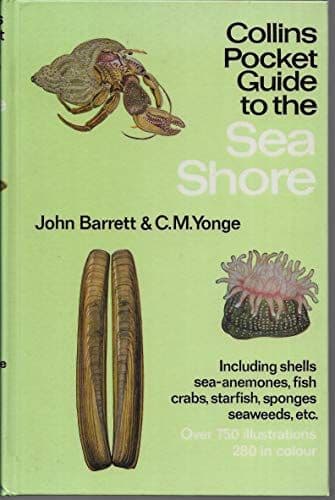 Pocket Guide to the Sea Shore