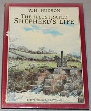 The Illustrated Shepherd's Life by W. H. Hudson