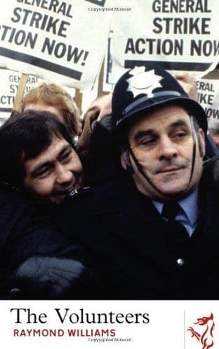 Volunteers by Raymond Williams - 9781906998264