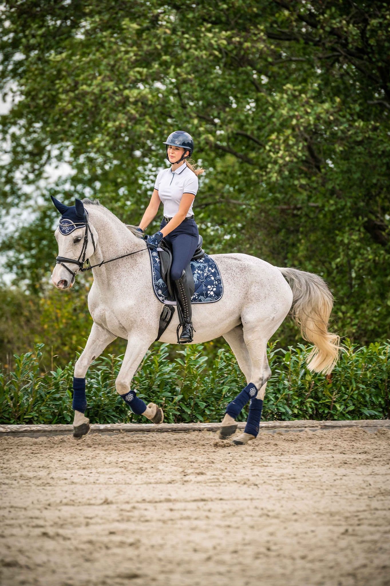 The Equestrian Outlet