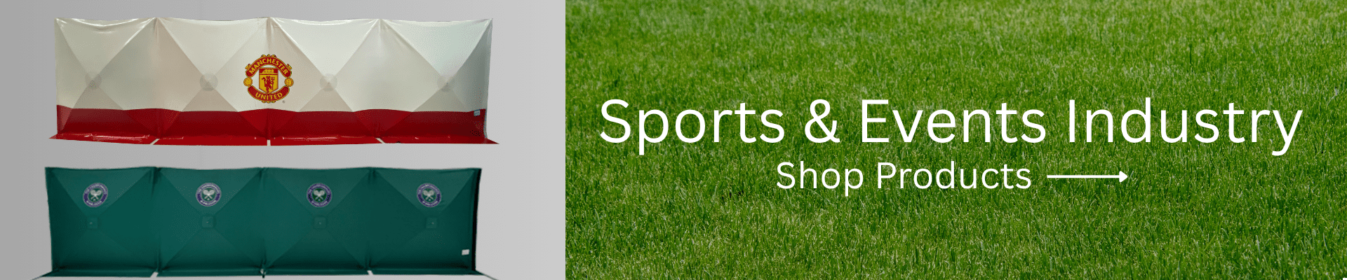 Sport Incident Screening