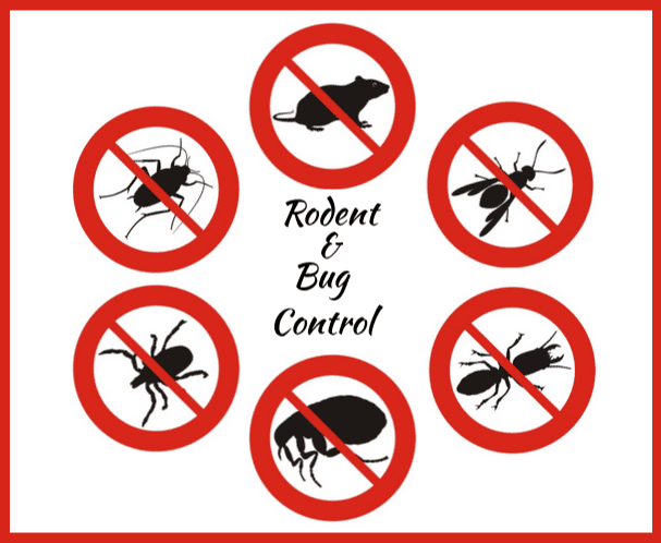 Overflow Rodent Screens Explained