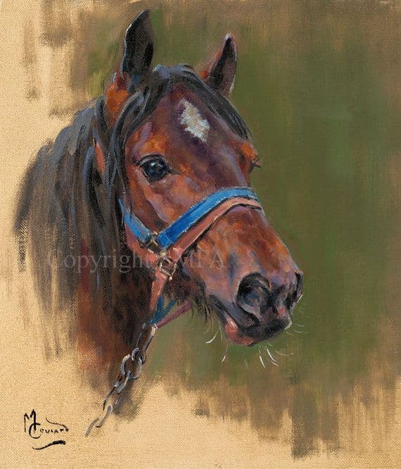 'A Bright Prospect' Limited edition Horse Print by Malcolm Coward