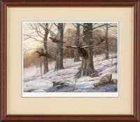 'A Burst of Winter' Pheasant Print by John Trickett
