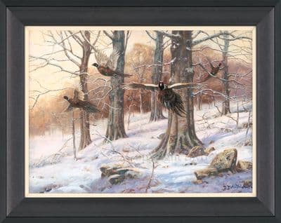 'A Burst of Winter' Pheasant Print by John Trickett