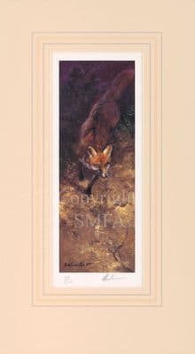 'A Close Shave' Ex-Display Fox Print by Mick Cawston