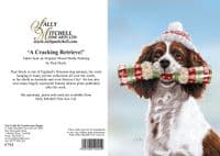 'A Cracking Retrieve' Blank Springer Spaniel Card by Paul Doyle C712
