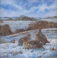 'A January Afternoon' Original Partridge Painting by John Trickett