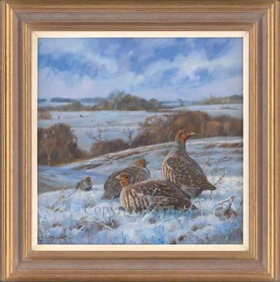 'A January Afternoon' Original Partridge Painting by John Trickett