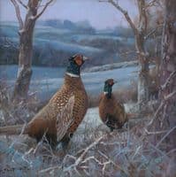 'A January Morning' Original Pheasant Painting by John Trickett