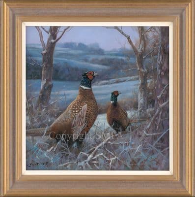 'A January Morning' Original Pheasant Painting by John Trickett