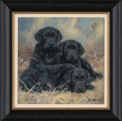 'A New Litter' original Black Labrador painting by John Trickett