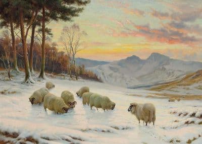 'A Winter's Eve' Pack of 10 Sheep Christmas Cards by Wright Barker C738x