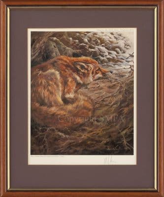 'Afternoon Snooze' Ex-Display Fox Print by Mick Cawston