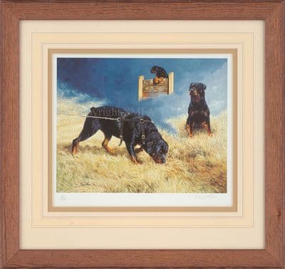 'All in a Days Work' Ex-Display Framed Rottweiler Print by Pippa Thew