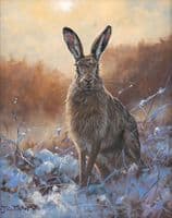 'Ansome Is' Original Hare Painting by John trickett